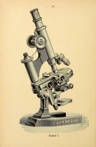 microscopesacces1896erns_0020