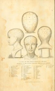 Illustrated phrenological skulls with list of characteristics