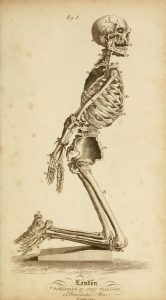 Black and white illustration of kneeling human skeleton