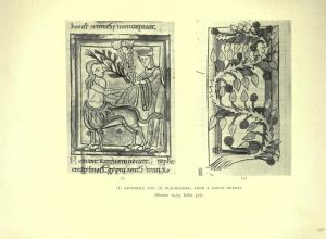 Two illustrations from old English herbals