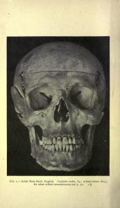 Full page black and white photograph of a human skull