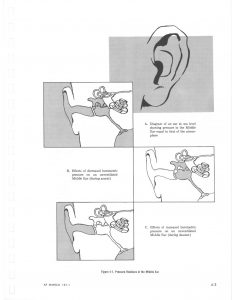 Diagrams of human ear and auditory canal