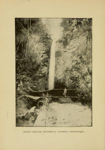 Black and white photograph of a tall waterfall with a man regarding it