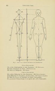 Black and white diagram of human body in terms of proportions