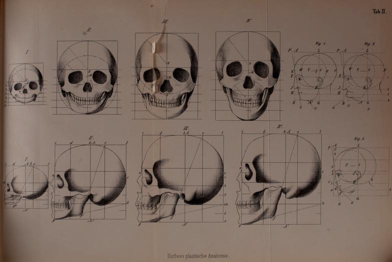 Black and white diagrams of the human skull from various angles