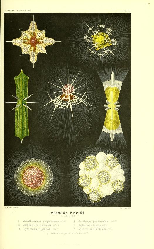 Full page color illustration of crystal forms