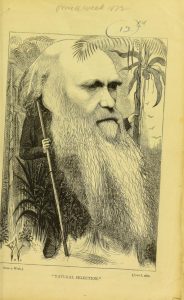 Caricature of Charles Darwin