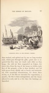Picture of "Yarmouth jetty, in the herring fishery" from Gosse's 1845 "The ocean."