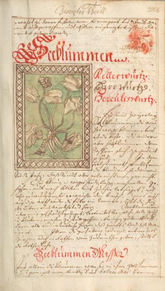 Page from 18th century "Artzney buch" is an unidentified German manuscript recently digitized by the National Library of Medicine.