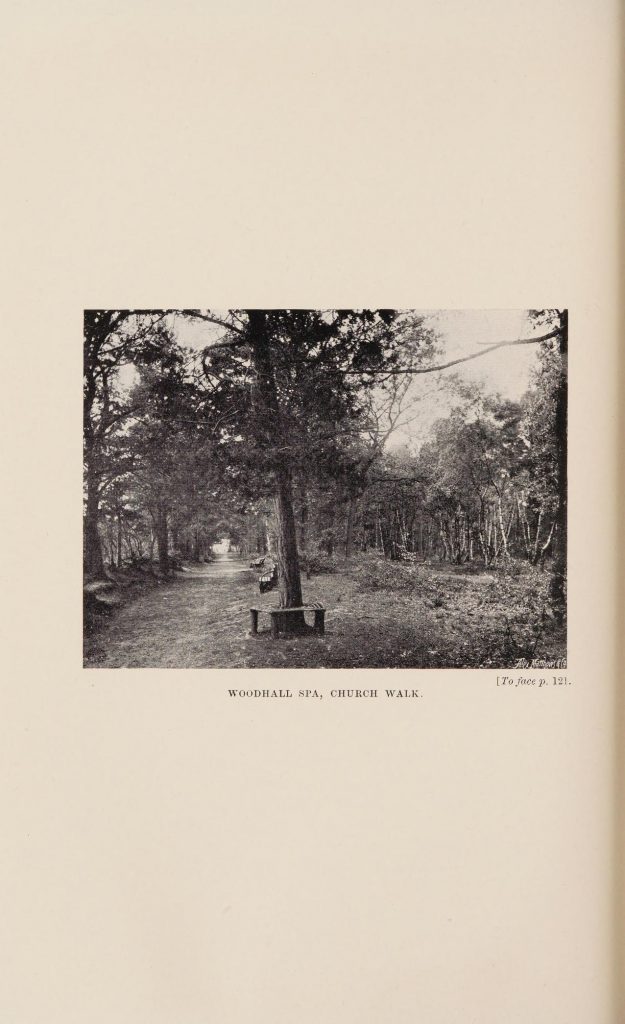 Black and white photograph of a walking path in a wooded area; there are seats between and around some of the trees. Caption reads: Woodhall Spa, Church walk.